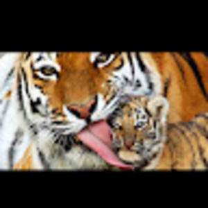 Meet your Posher, Bathsheba